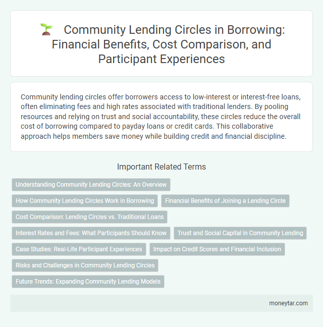 Community Lending Circles in Borrowing: Financial Benefits, Cost Comparison, and Participant Experiences