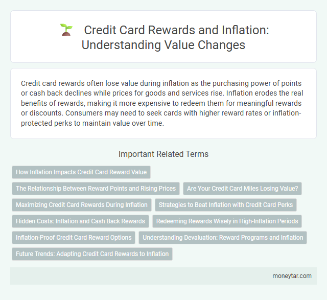 Credit Card Rewards and Inflation: Understanding Value Changes