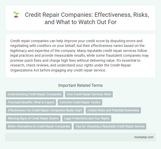 Credit Repair Companies: Effectiveness, Risks, and What to Watch Out For
