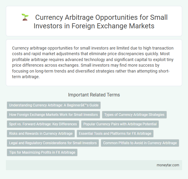 Currency Arbitrage Opportunities for Small Investors in Foreign Exchange Markets