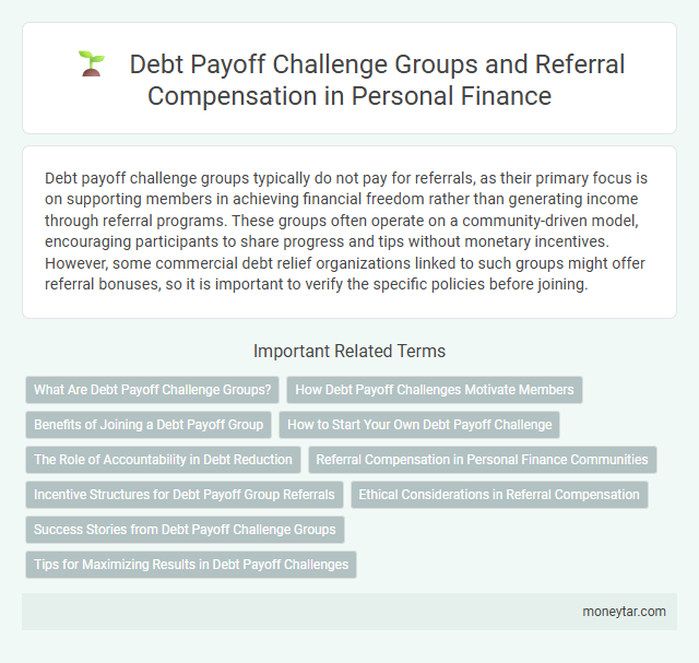 Debt Payoff Challenge Groups and Referral Compensation in Personal Finance