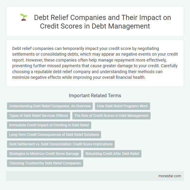 Debt Relief Companies and Their Impact on Credit Scores in Debt Management