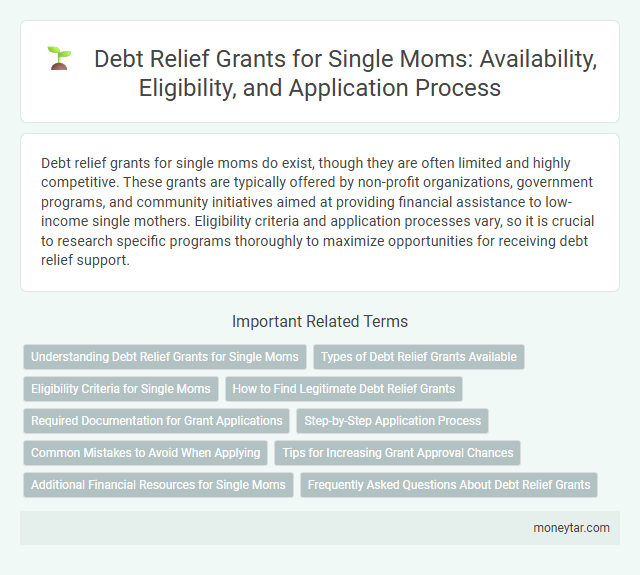Debt Relief Grants for Single Moms: Availability, Eligibility, and Application Process