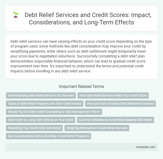 Debt Relief Services and Credit Scores: Impact, Considerations, and Long-Term Effects