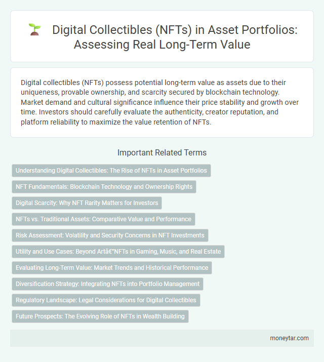 Digital Collectibles (NFTs) in Asset Portfolios: Assessing Real Long-Term Value