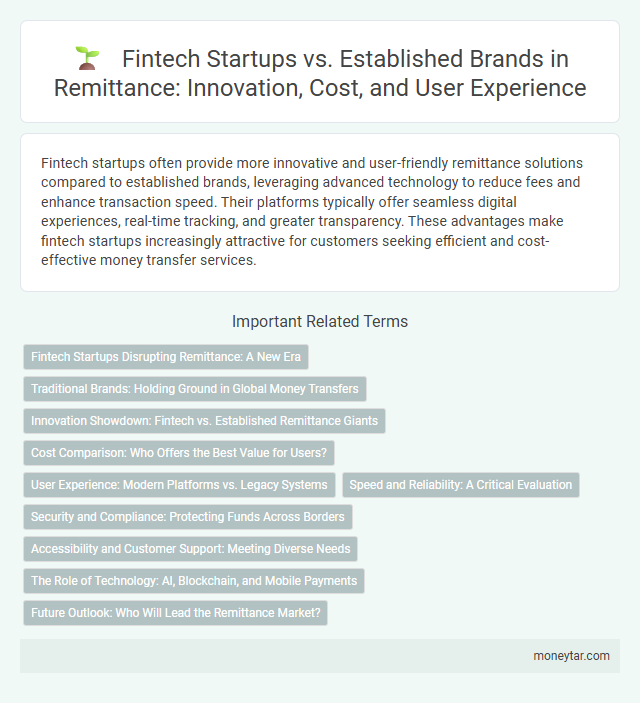 Fintech Startups vs. Established Brands in Remittance: Innovation, Cost, and User Experience