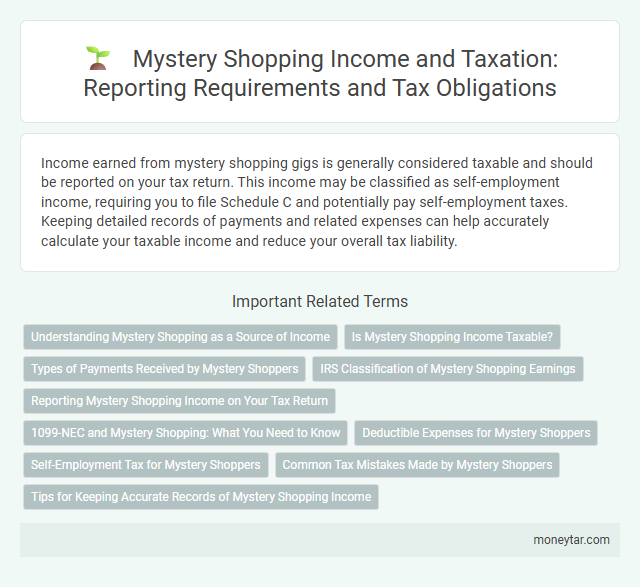 Mystery Shopping Income and Taxation: Reporting Requirements and Tax Obligations