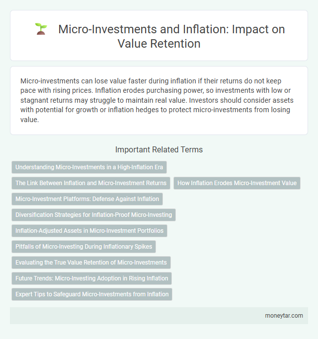 Micro-Investments and Inflation: Impact on Value Retention