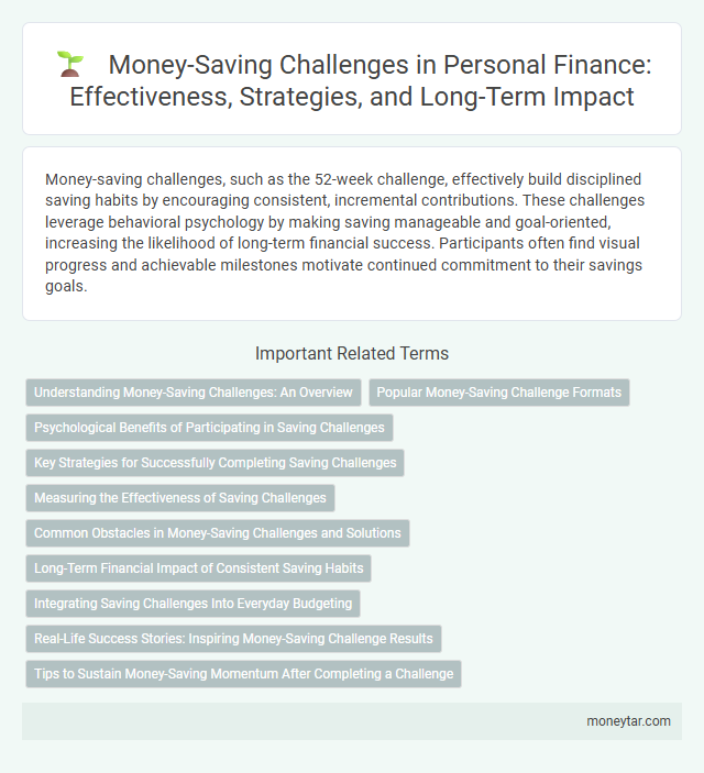 Money-Saving Challenges in Personal Finance: Effectiveness, Strategies, and Long-Term Impact