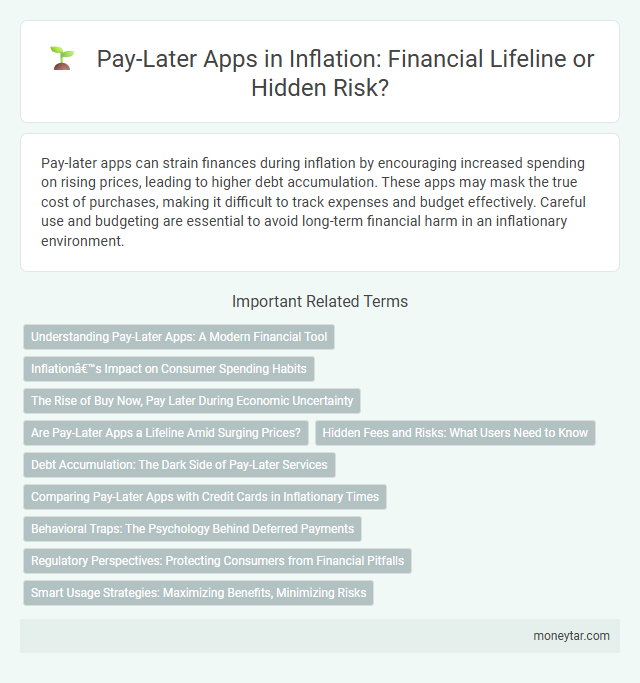 Pay-Later Apps in Inflation: Financial Lifeline or Hidden Risk?