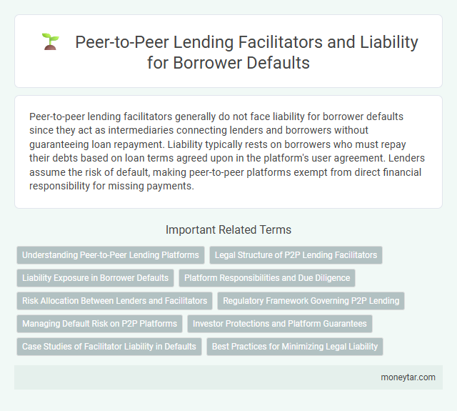Peer-to-Peer Lending Facilitators and Liability for Borrower Defaults