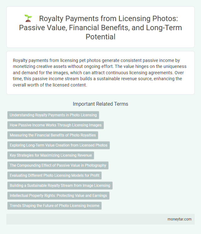 Royalty Payments from Licensing Photos: Passive Value, Financial Benefits, and Long-Term Potential