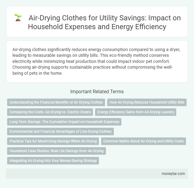 Air-Drying Clothes for Utility Savings: Impact on Household Expenses and Energy Efficiency