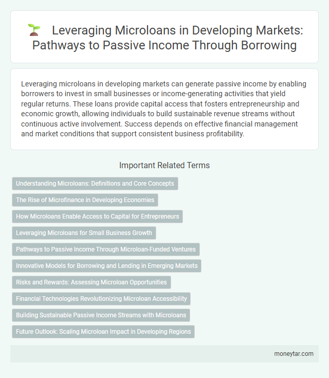 Leveraging Microloans in Developing Markets: Pathways to Passive Income Through Borrowing