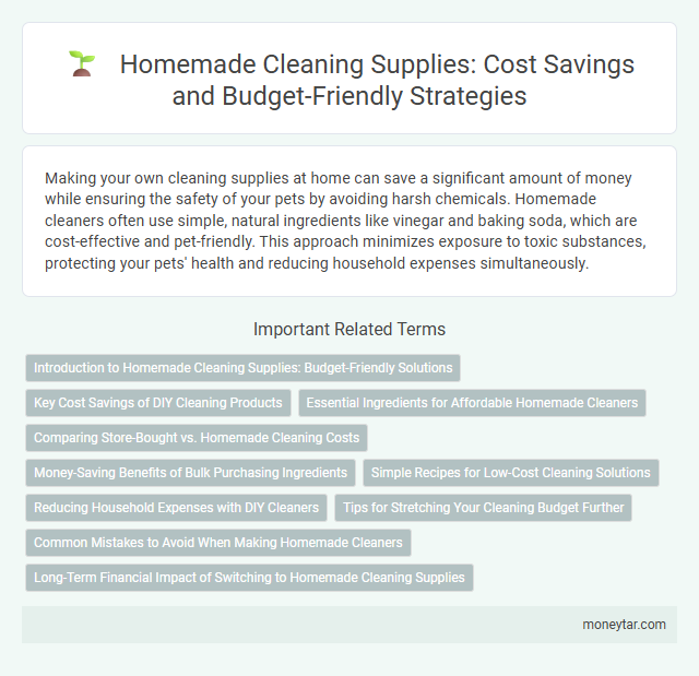 Homemade Cleaning Supplies: Cost Savings and Budget-Friendly Strategies