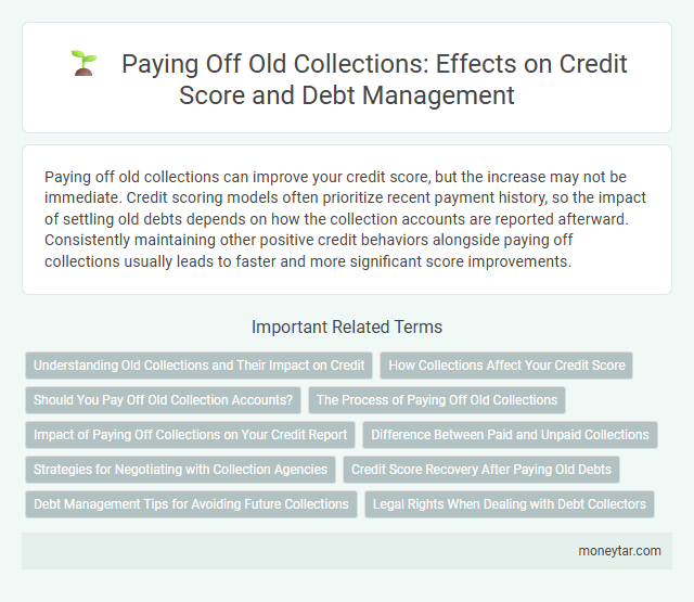 Paying Off Old Collections: Effects on Credit Score and Debt Management