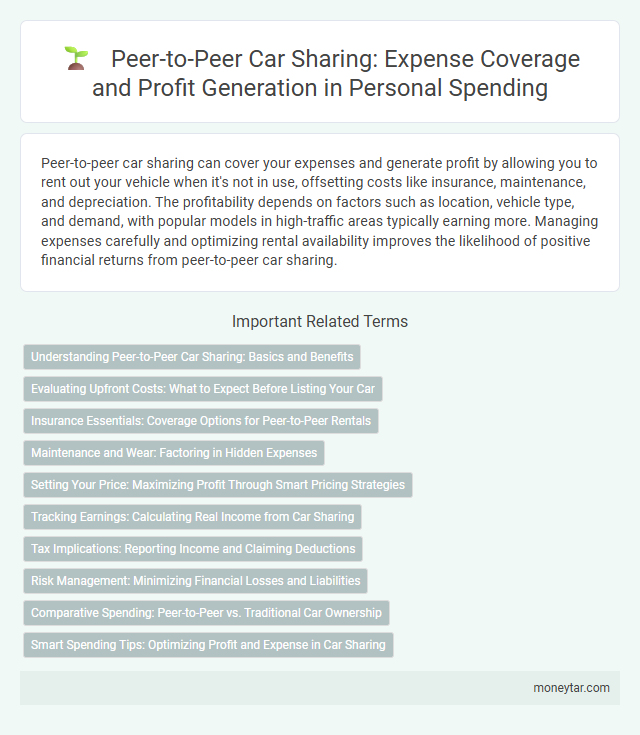 Peer-to-Peer Car Sharing: Expense Coverage and Profit Generation in Personal Spending