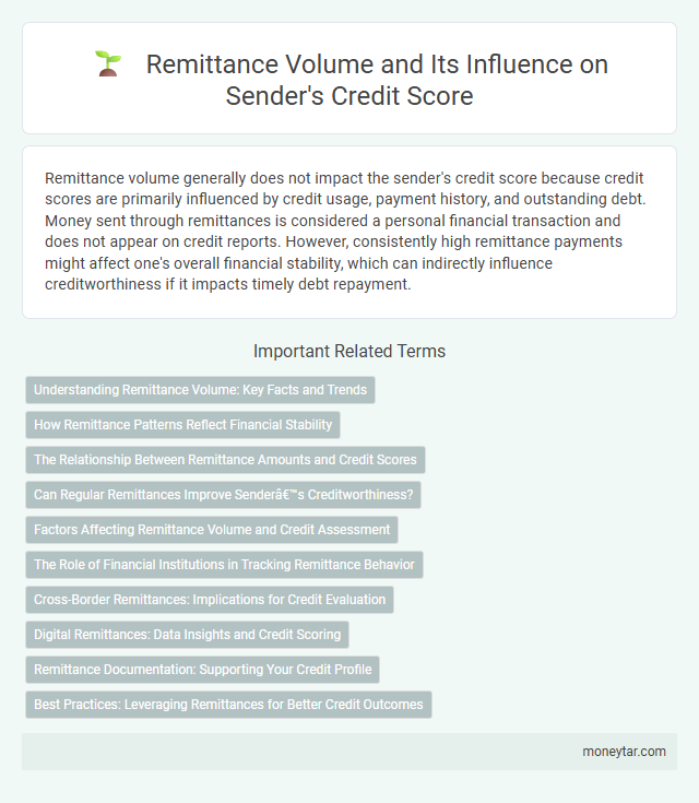 Remittance Volume and Its Influence on Sender's Credit Score