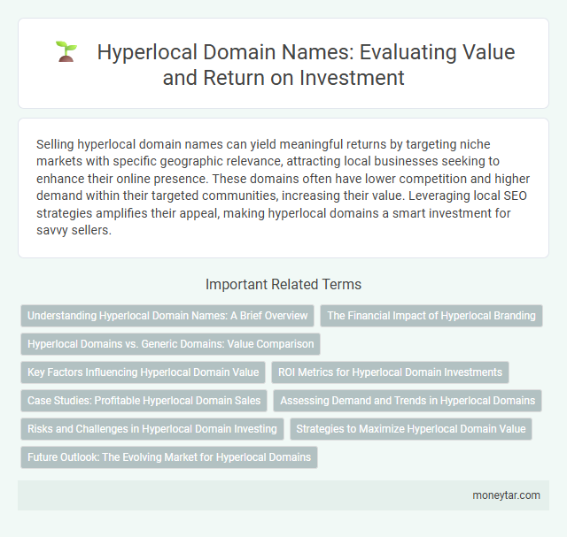 Hyperlocal Domain Names: Evaluating Value and Return on Investment