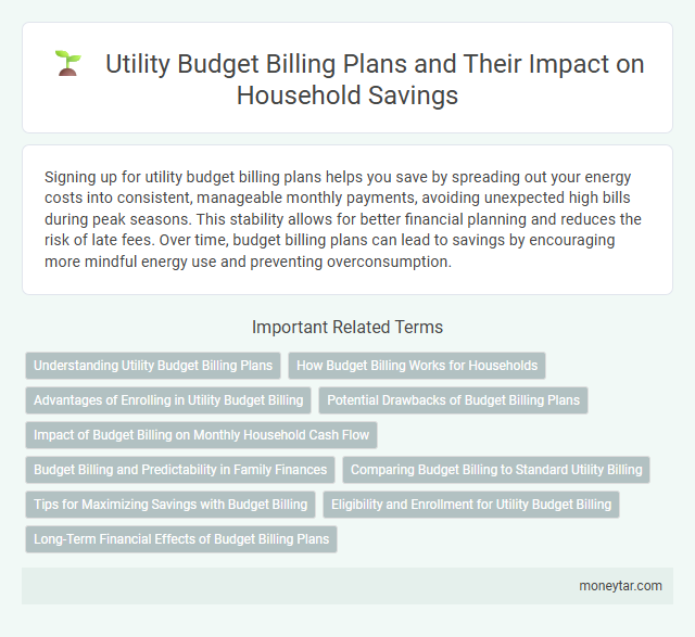 Utility Budget Billing Plans and Their Impact on Household Savings
