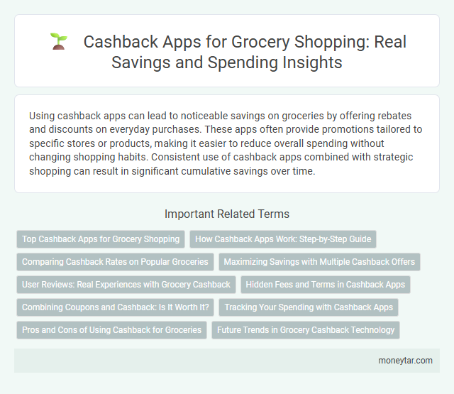 Cashback Apps for Grocery Shopping: Real Savings and Spending Insights