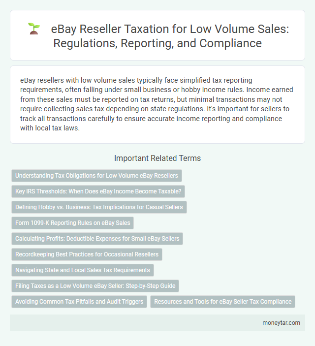 eBay Reseller Taxation for Low Volume Sales: Regulations, Reporting, and Compliance