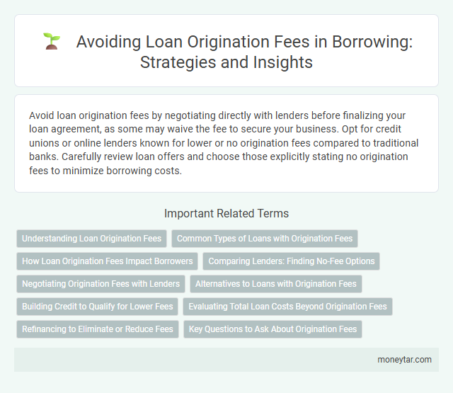 Avoiding Loan Origination Fees in Borrowing: Strategies and Insights