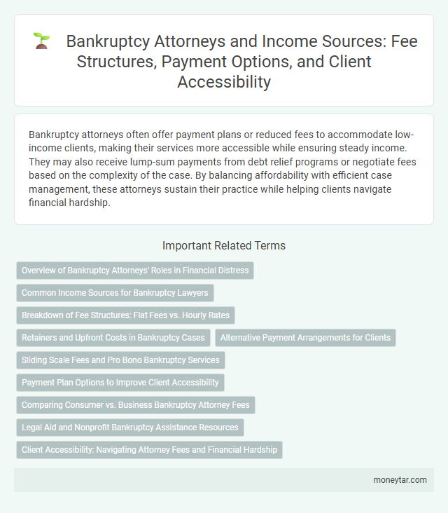 Bankruptcy Attorneys and Income Sources: Fee Structures, Payment Options, and Client Accessibility