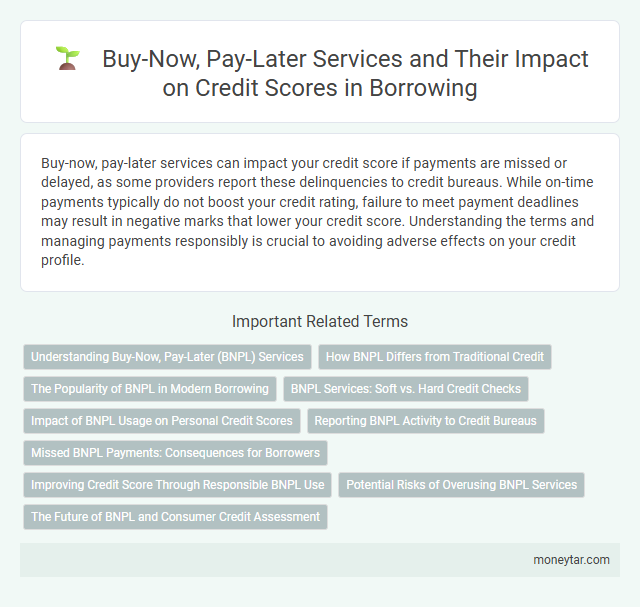 Buy-Now, Pay-Later Services and Their Impact on Credit Scores in Borrowing