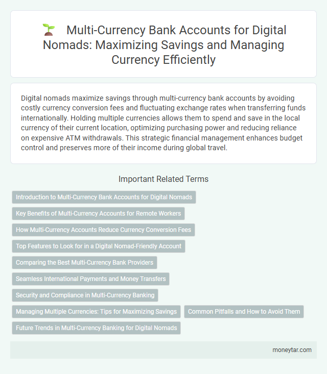 Multi-Currency Bank Accounts for Digital Nomads: Maximizing Savings and Managing Currency Efficiently