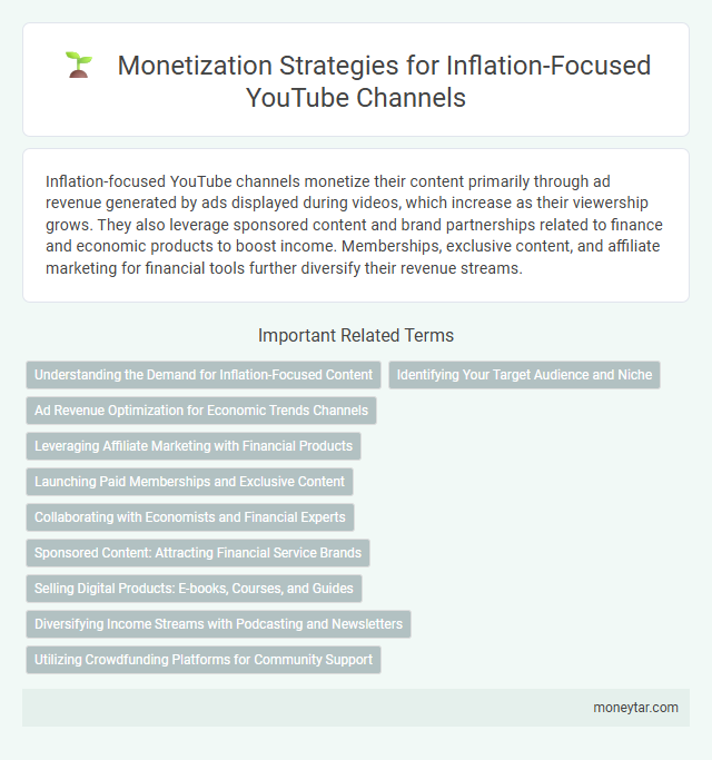 Monetization Strategies for Inflation-Focused YouTube Channels