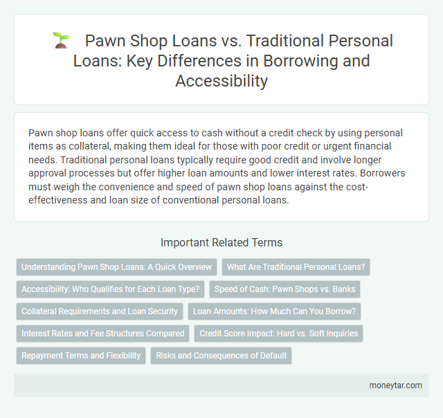 Pawn Shop Loans vs. Traditional Personal Loans: Key Differences in Borrowing and Accessibility