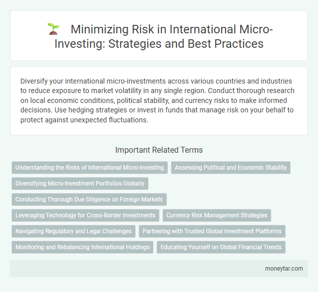 Minimizing Risk in International Micro-Investing: Strategies and Best Practices