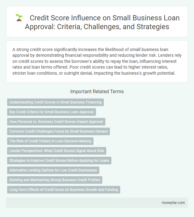 Credit Score Influence on Small Business Loan Approval: Criteria, Challenges, and Strategies