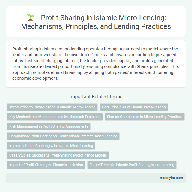 Profit-Sharing in Islamic Micro-Lending: Mechanisms, Principles, and Lending Practices