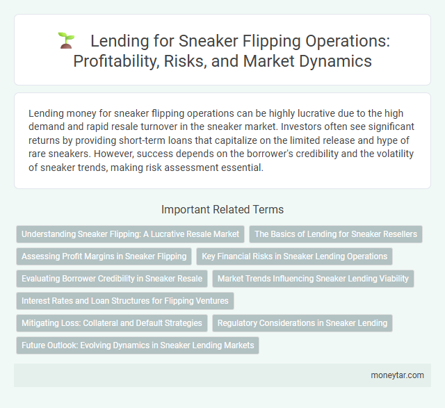 Lending for Sneaker Flipping Operations: Profitability, Risks, and Market Dynamics