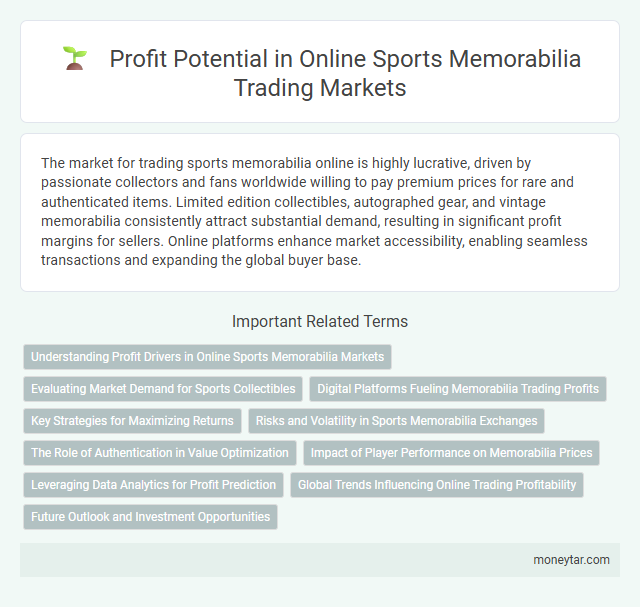 Profit Potential in Online Sports Memorabilia Trading Markets