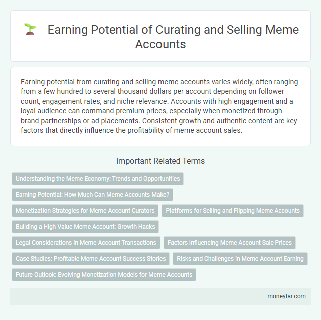 Earning Potential of Curating and Selling Meme Accounts