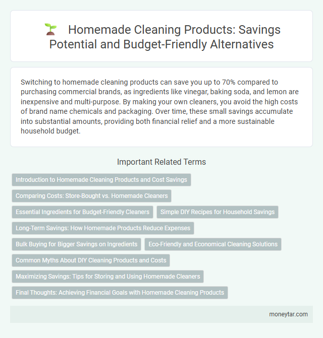 Homemade Cleaning Products: Savings Potential and Budget-Friendly Alternatives