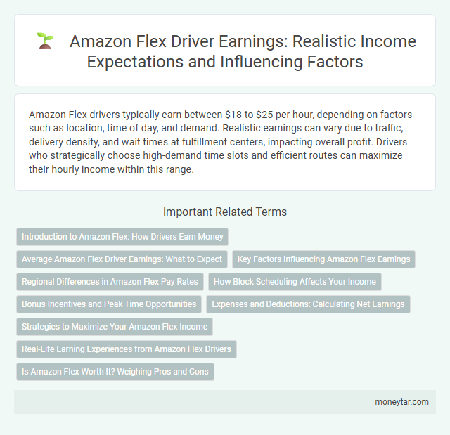 Amazon Flex Driver Earnings: Realistic Income Expectations and Influencing Factors