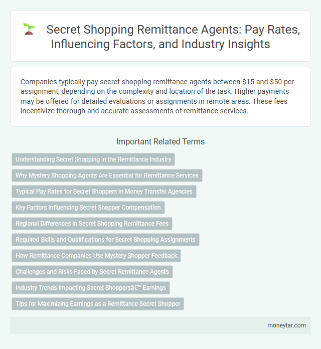 Secret Shopping Remittance Agents: Pay Rates, Influencing Factors, and Industry Insights