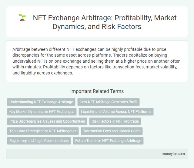 NFT Exchange Arbitrage: Profitability, Market Dynamics, and Risk Factors