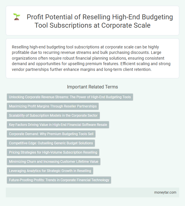 Profit Potential of Reselling High-End Budgeting Tool Subscriptions at Corporate Scale