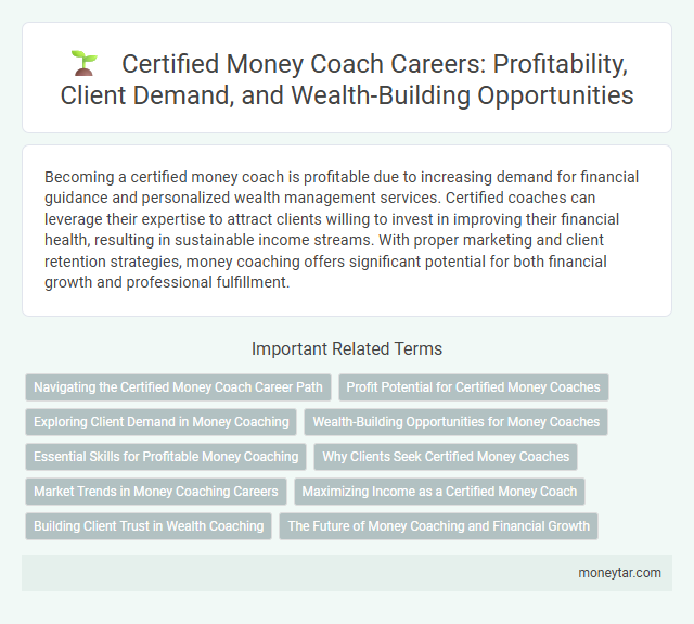 Certified Money Coach Careers: Profitability, Client Demand, and Wealth-Building Opportunities