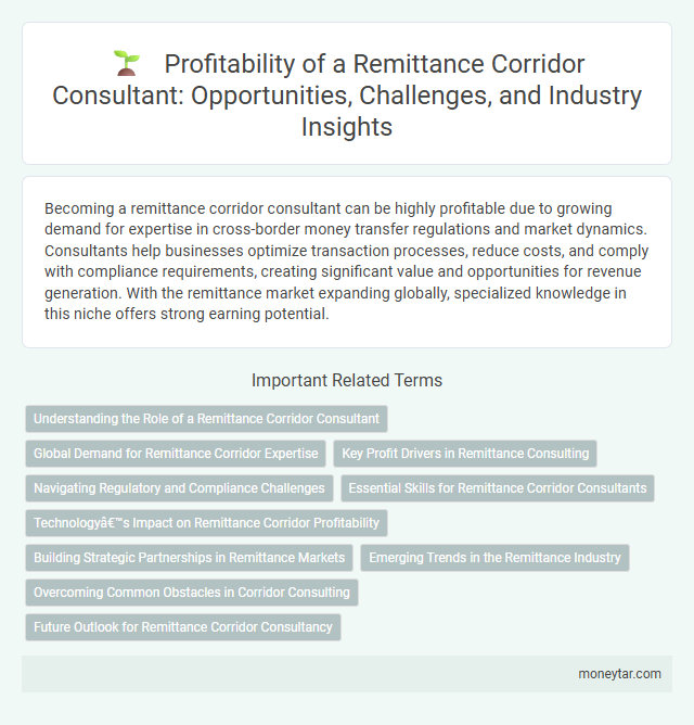 Profitability of a Remittance Corridor Consultant: Opportunities, Challenges, and Industry Insights