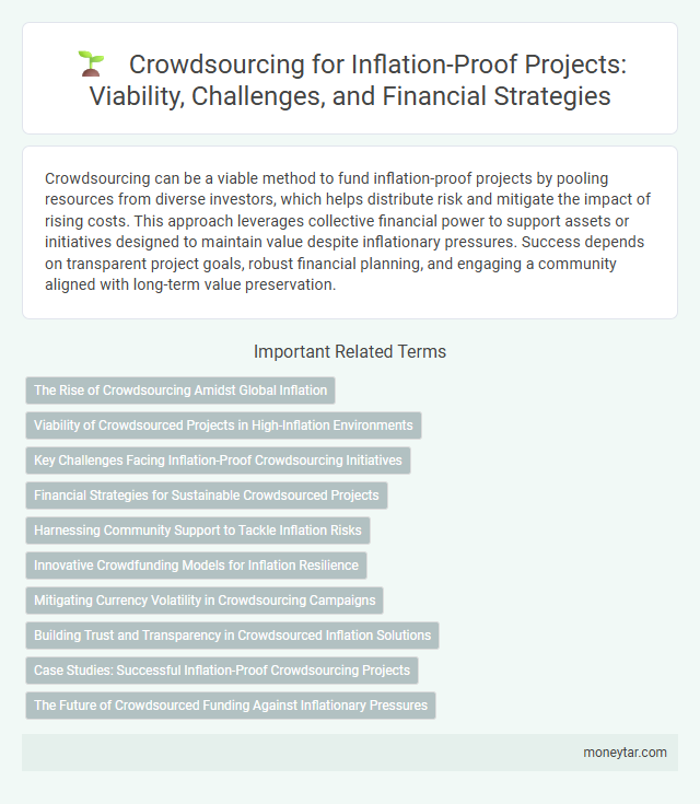 Crowdsourcing for Inflation-Proof Projects: Viability, Challenges, and Financial Strategies