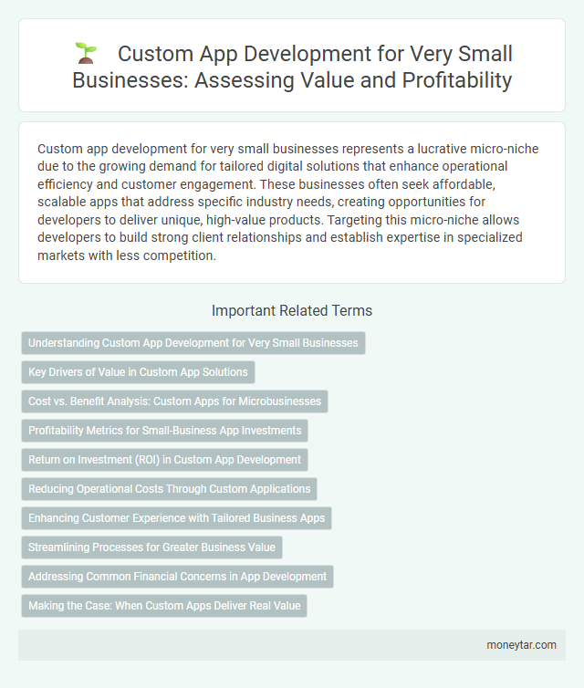 Custom App Development for Very Small Businesses: Assessing Value and Profitability