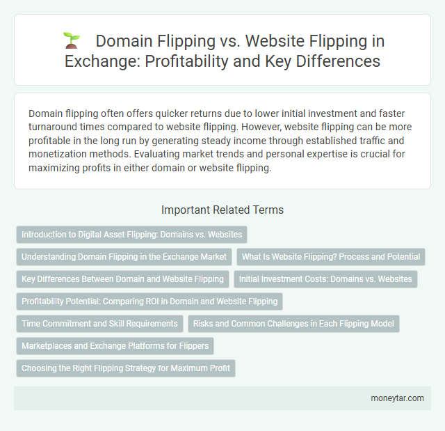 Domain Flipping vs. Website Flipping in Exchange: Profitability and Key Differences