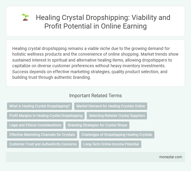 Healing Crystal Dropshipping: Viability and Profit Potential in Online Earning