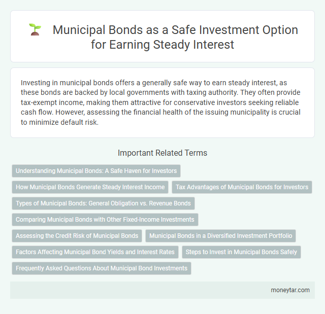 Municipal Bonds as a Safe Investment Option for Earning Steady Interest